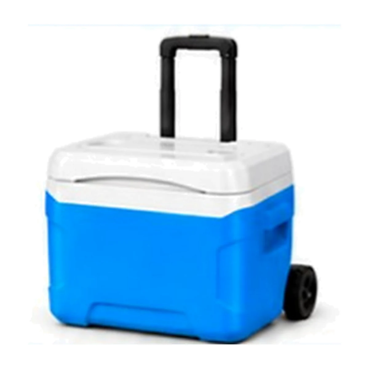 CLD-KY028 actual catalog product photo